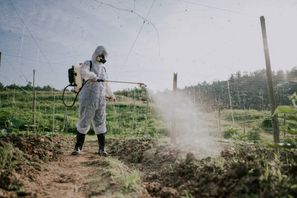 Best Commercial Pest Control Services  in Montrose, MI