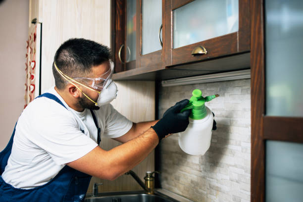 Best Pest Control Near Me in Montrose, MI