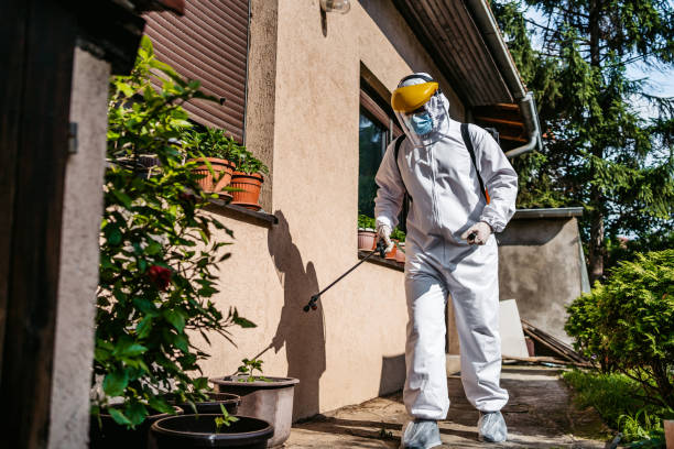 Best Emergency Pest Control  in Montrose, MI