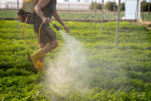 Best Pest Removal Services  in Montrose, MI