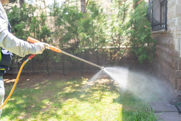 Wildlife Control Services in Montrose, MI
