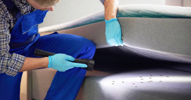Best Pest Control Near Me  in Montrose, MI