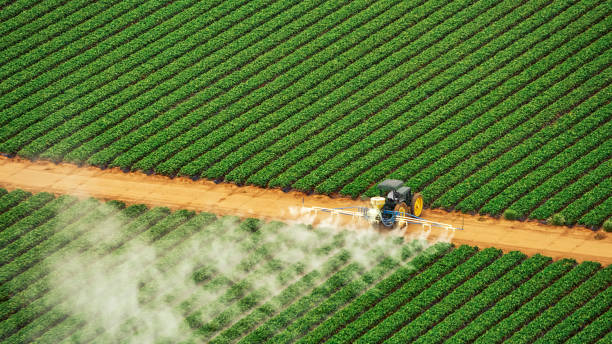 Best Mosquito Control Services  in Montrose, MI