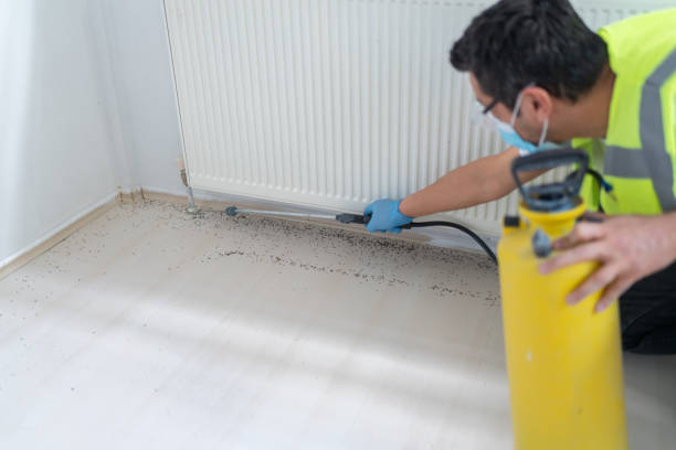 Best Emergency Pest Control  in Montrose, MI