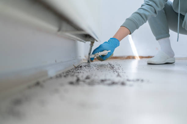 Best Residential Pest Control  in Montrose, MI